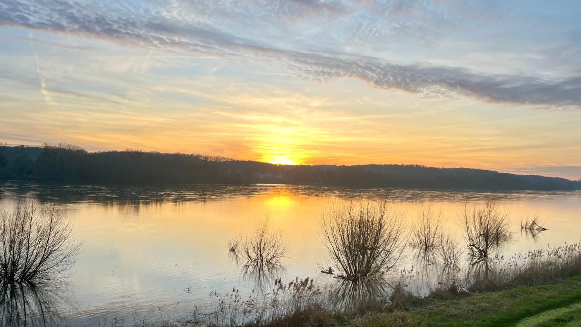 Un Mirage Tropical En Bord De Loire, Love Et Detente Saint-Clément-des-Levées Εξωτερικό φωτογραφία